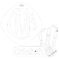 TSVM Cricket Stuttgart